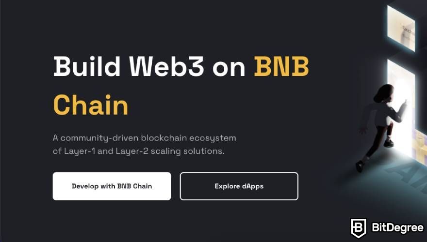 What is BNB: screenshot of the landing page for BNB Chain.