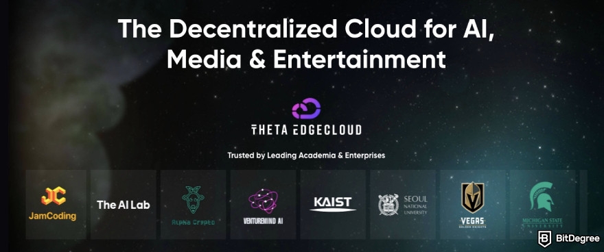 What is DePIN: Theta Network's homepage.