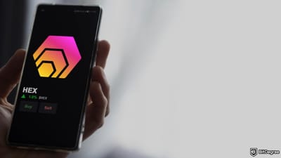 What is HEX Crypto? The Story Behind the Controversial High‑Yield Token
