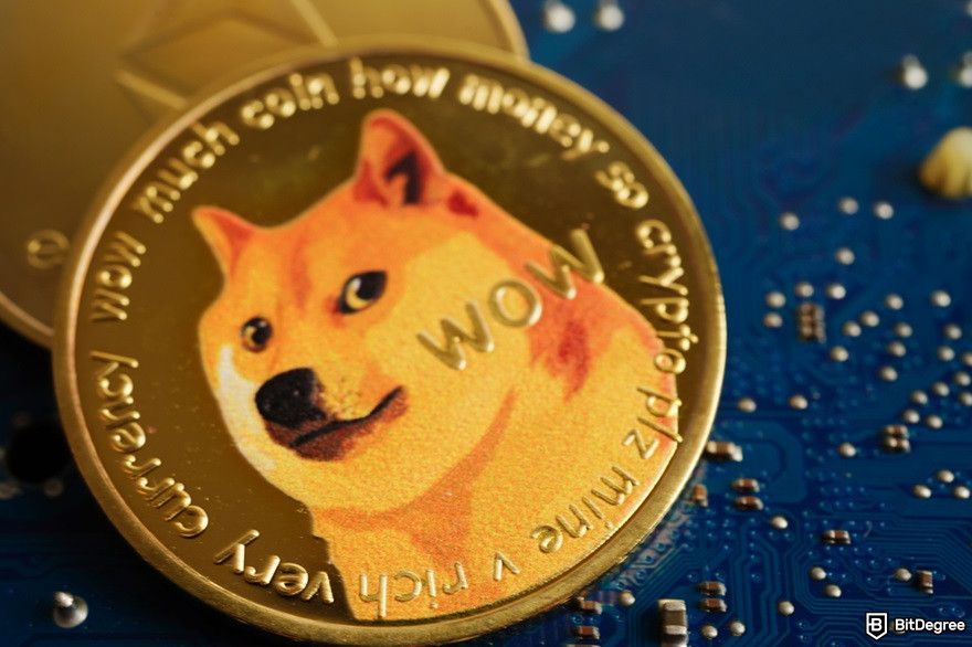 What is Hosky token: Dogecoin on the circuit mainboard computer.