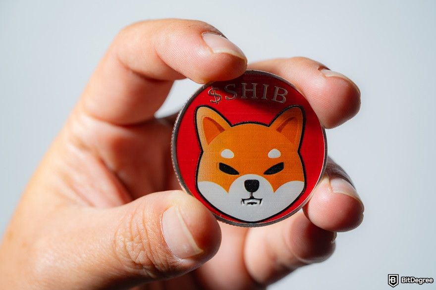 What is Hosky token: a hand picking a Shiba Inu coin.