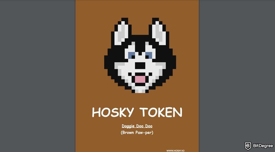 What is Hoksy token: whitepaper.