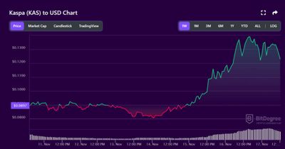 What is $KAS and the hype around it