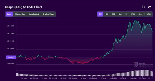 What is $KAS and the hype around it