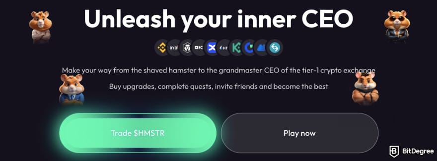 What is Notcoin: Hamster Kombat homepage.