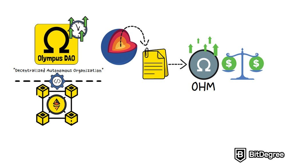 What is Olympus DAO: OHM.