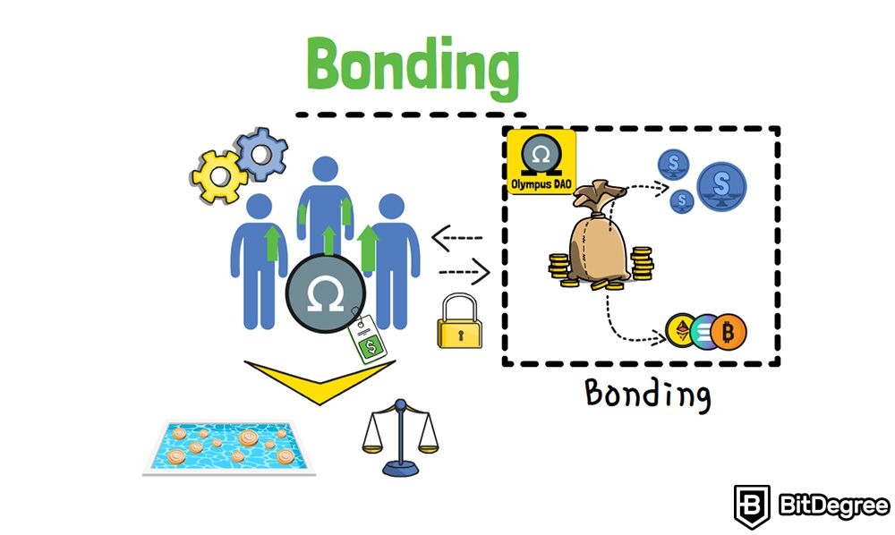 Apa itu Olympus Dao: Mekanisme bonding crypto.