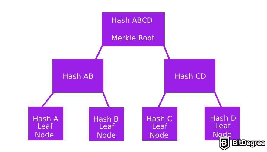 What is proof of reserves: an example of a Merkle Tree.