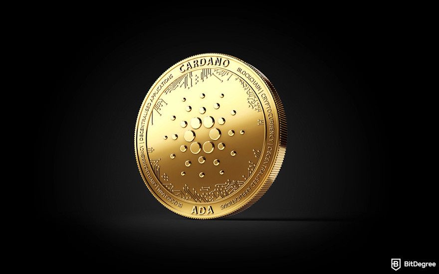 What is SNEK coin: a golden ADA coin in front of a black background.