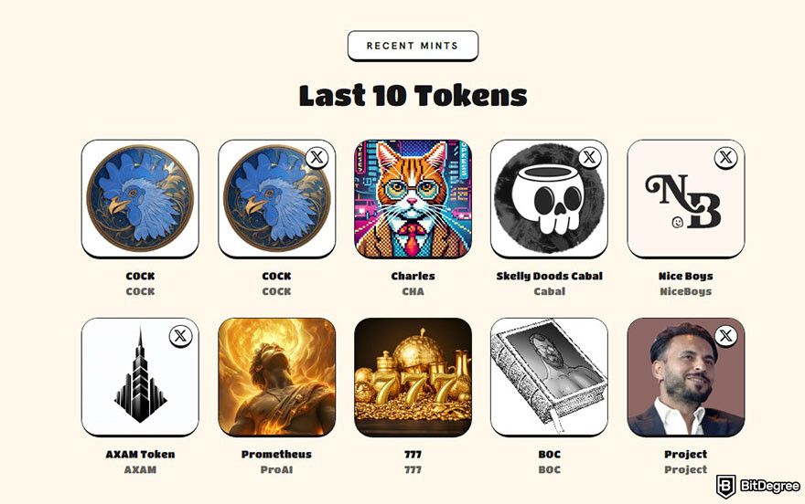 What is SNEK coin: the last 10 tokens minted through the SNEKx feature on SNEK's website.