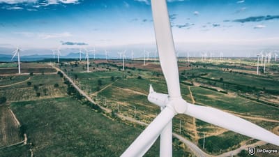 What is VeChain? The Eco-Friendly Blockchain With Real Impact