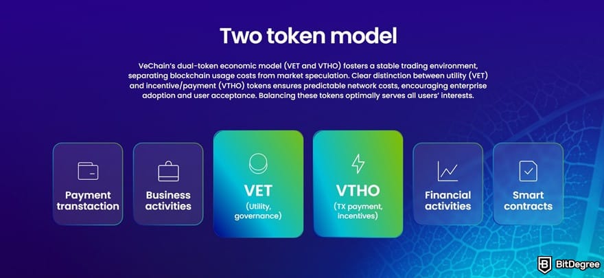 What is VeChain: the two-token model explained on the VeChain website.