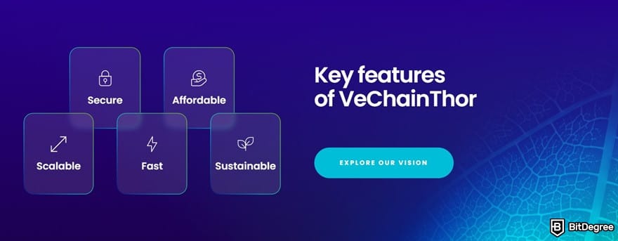 What is VeChain: key features of VeChainThor.