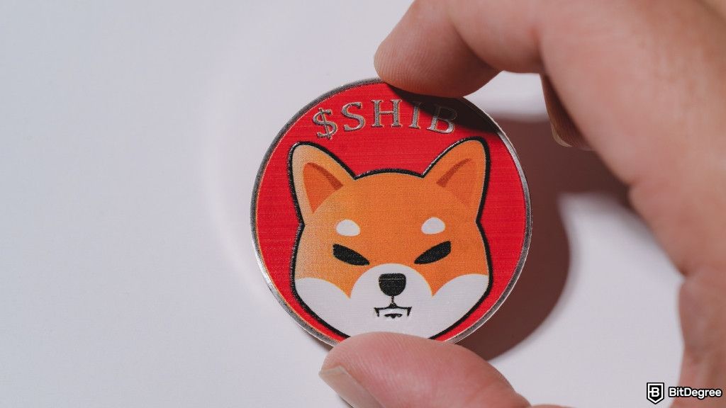Onde Comprar Shiba Coin: Um Guia Detalhado
