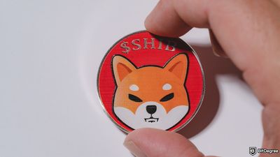 Shiba Coin Nereden Alınır?