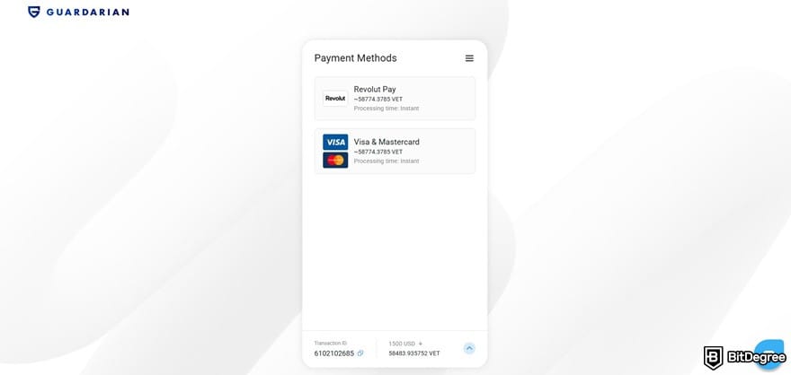 Where to buy VeChain: available payment methods on Guardarian, ChangeNOW's payment partner.