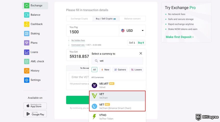 Where to buy VeChain: choosing VET on ChangeNOW's purchasing form.