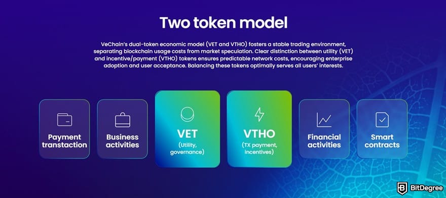 Where to buy VeChain: the two-token model explained on VeChain's website.