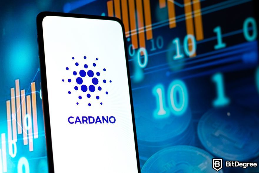 Which crypto to buy today for long-term: Cardano.