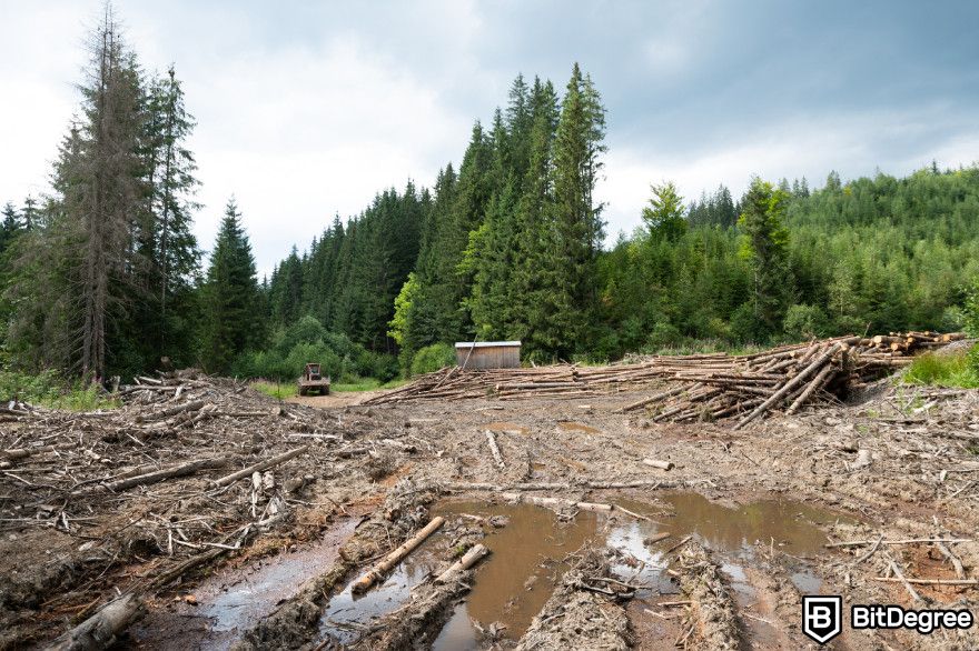 Why is crypto bad for the environment: deforestation.