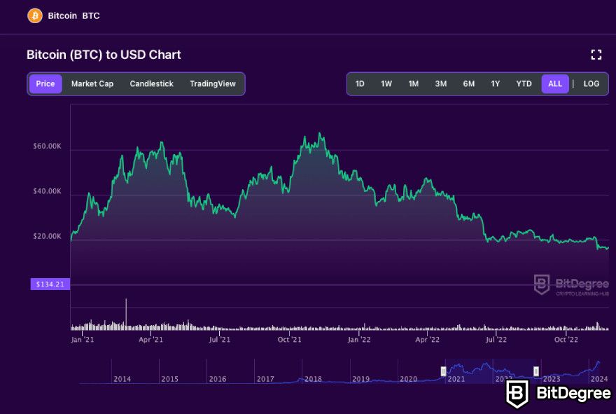 Why is crypto crashing: Bitcoin price chart on the BitDegree crypto tracker.