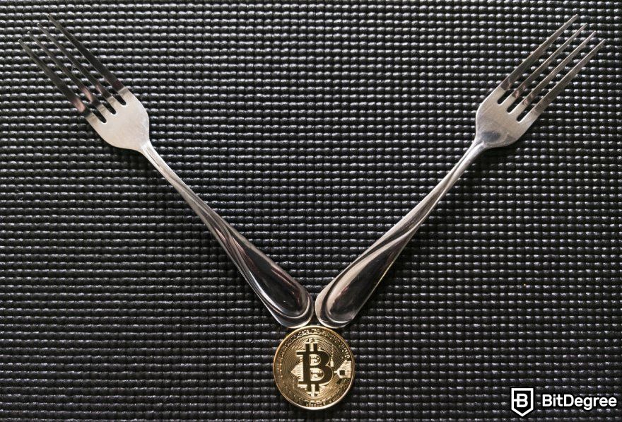 Why is crypto crashing: crypto forks.