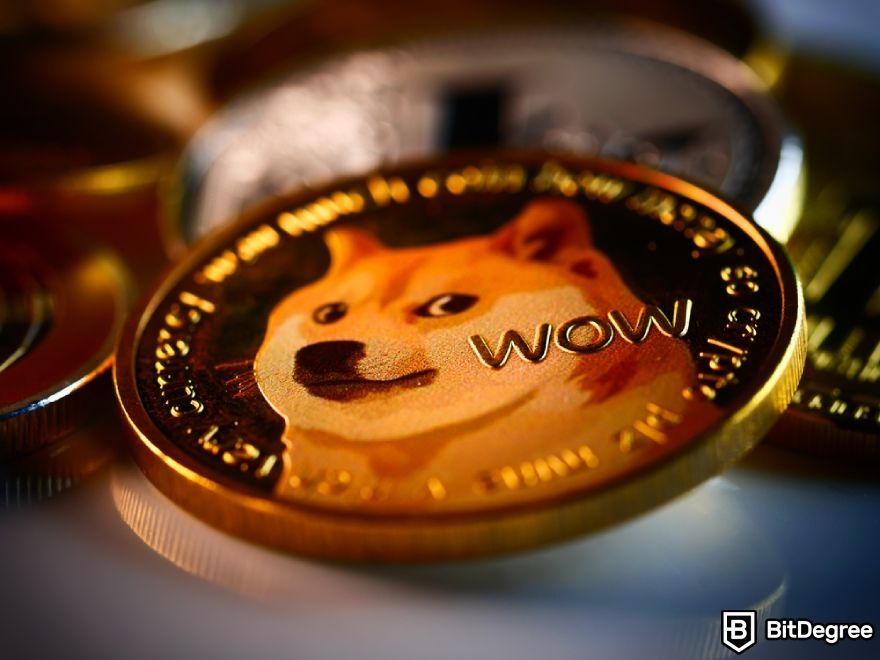 Why is crypto going up: Dogecoin.