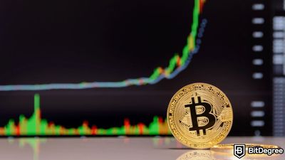 Revelado o Frenesi da Criptomoeda: Por Que as Criptomoedas Estão Crescendo?