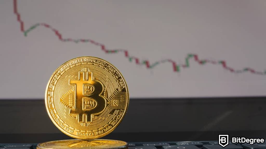 Will Crypto Recover Again? A Closer Look on Cryptocurrency Market Volatility