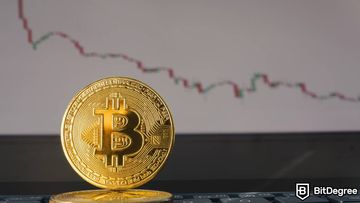 Will Crypto Recover Again? A Closer Look on Cryptocurrency Market Volatility