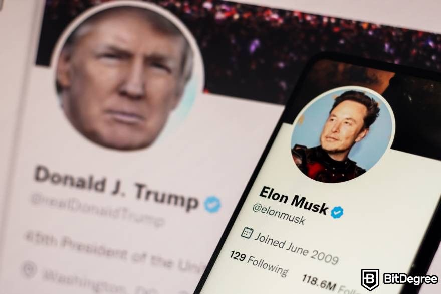 Tiền điện tử phục hồi: Tài khoản Twitter của Elon Musk và Donald Trump.