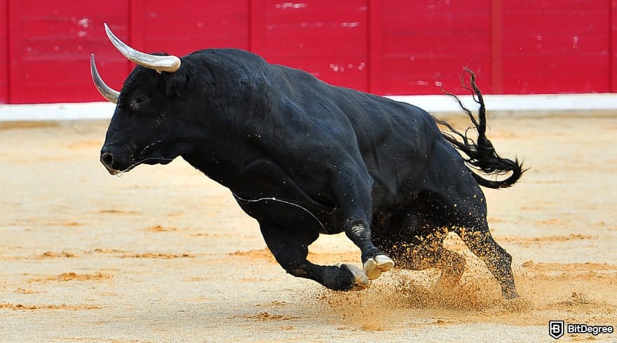 Will Floki Inu reach $1? A running black bull.