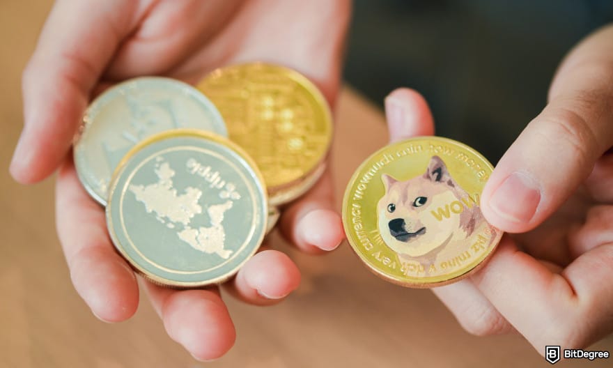 Will Shiba Inu coin reach $1: a person holding a Shiba Inu coin and some other coins.