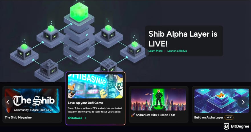 Will Shiba Inu coin reach $1: a screenshot of the Shiba Inu ecosystem homepage.