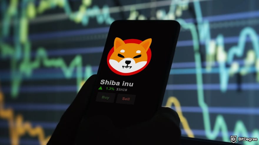Will Shiba Inu coin reach $1: a person holding a phone with the Shiba Inu logo on the screen.
