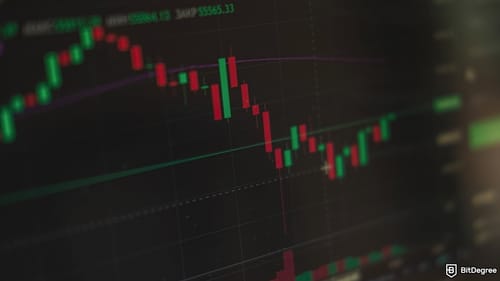 YU Token Crashes to $0.20 After Security Incident Hits Yala