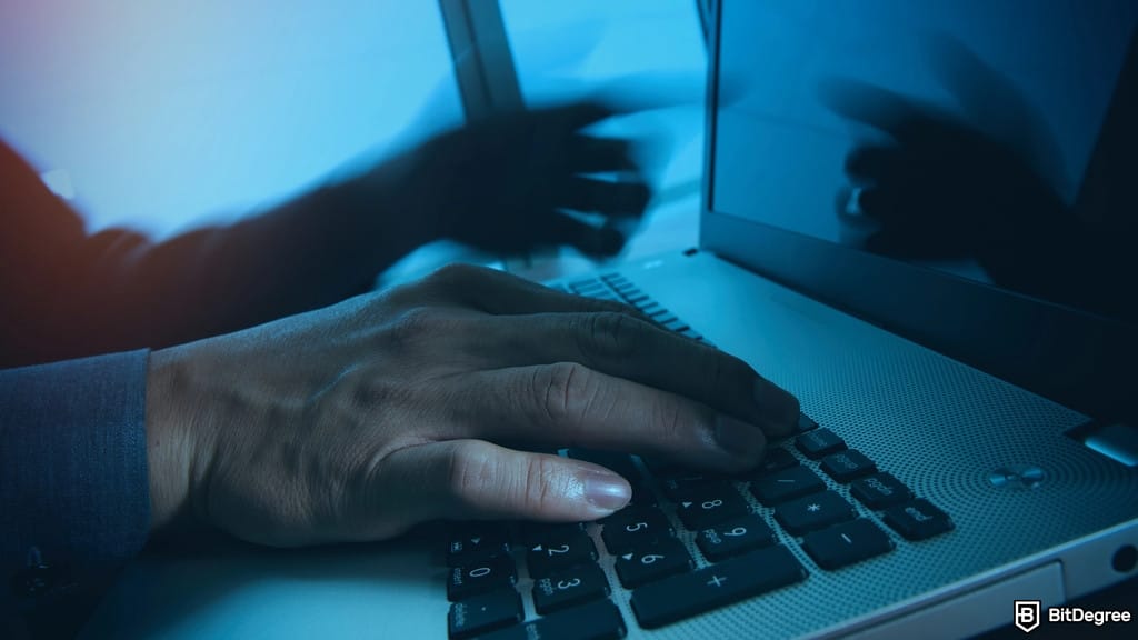 80% of Garden Finance Fees from Stolen BTC