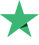 trustpilot logo 