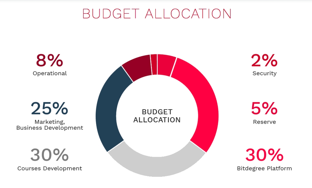 O que é uma ICO: Alocação de orçamento Bitdegree.