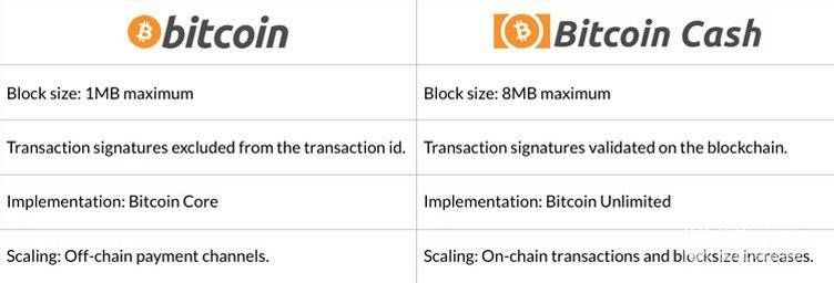 什么是比特币现金：比特币和比特币现金的比较。