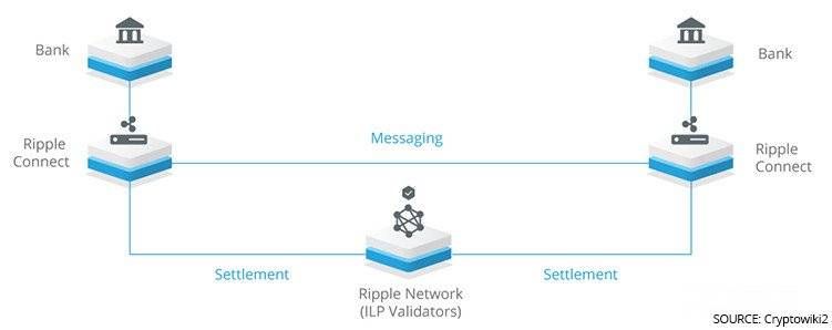 How ripple is used