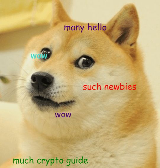 What is Dogecoin: a Doge meme.