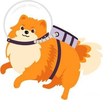 Blockchain Developer Space Doggos