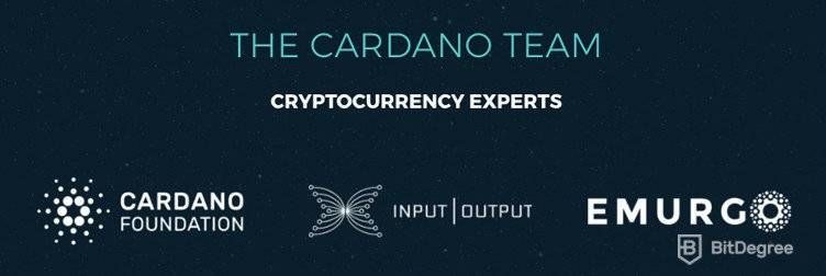 Cardano cryptocurrency expert team