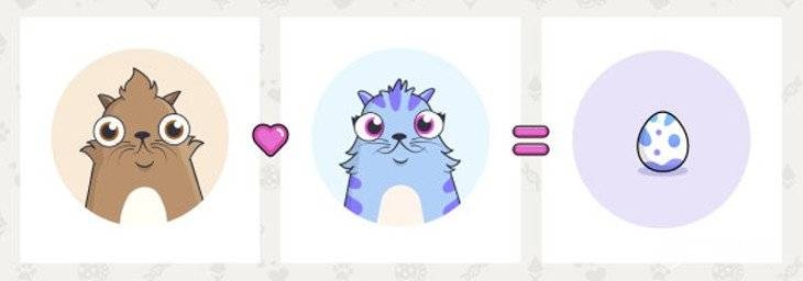 where do cryptokitties come from