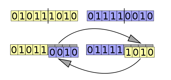 Cryptokitty binary DNA