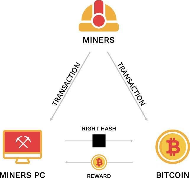 Explaining What is Cryptocurrency