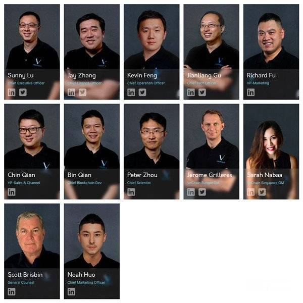 VeChain Price Prediction Core Team Members