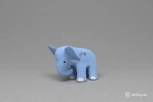 Nhà phát triển web: Ảnh con voi.