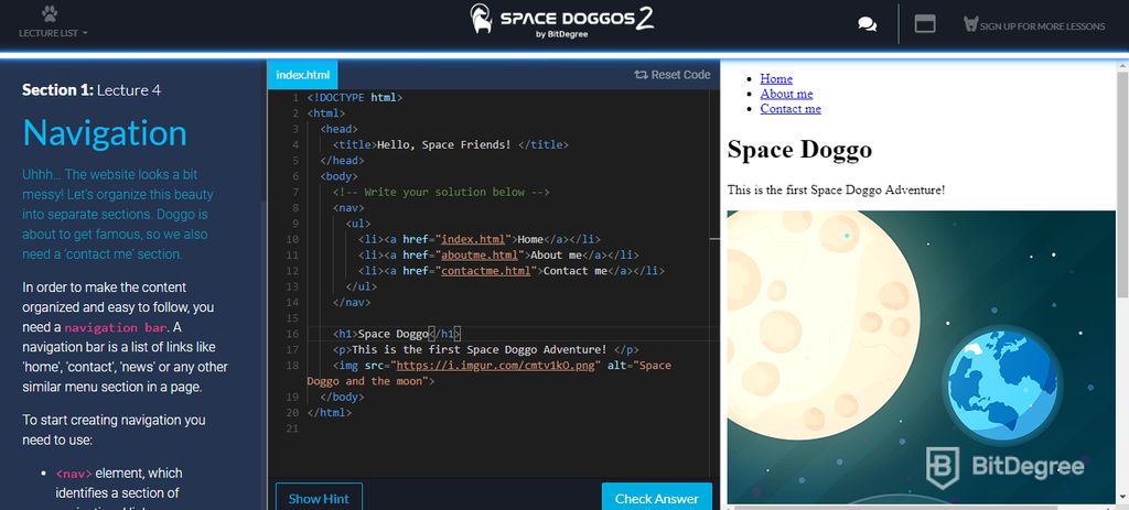 Курсы программирования Space doggos